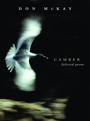 cover image of Camber